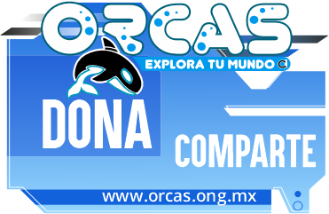 orcas_bottom_button orcas_bottom_button