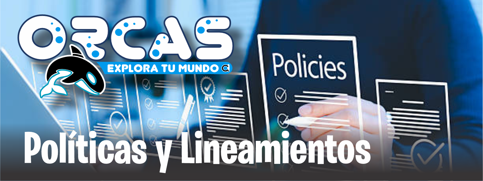 orcas_transparencia_politicas_lineamientos