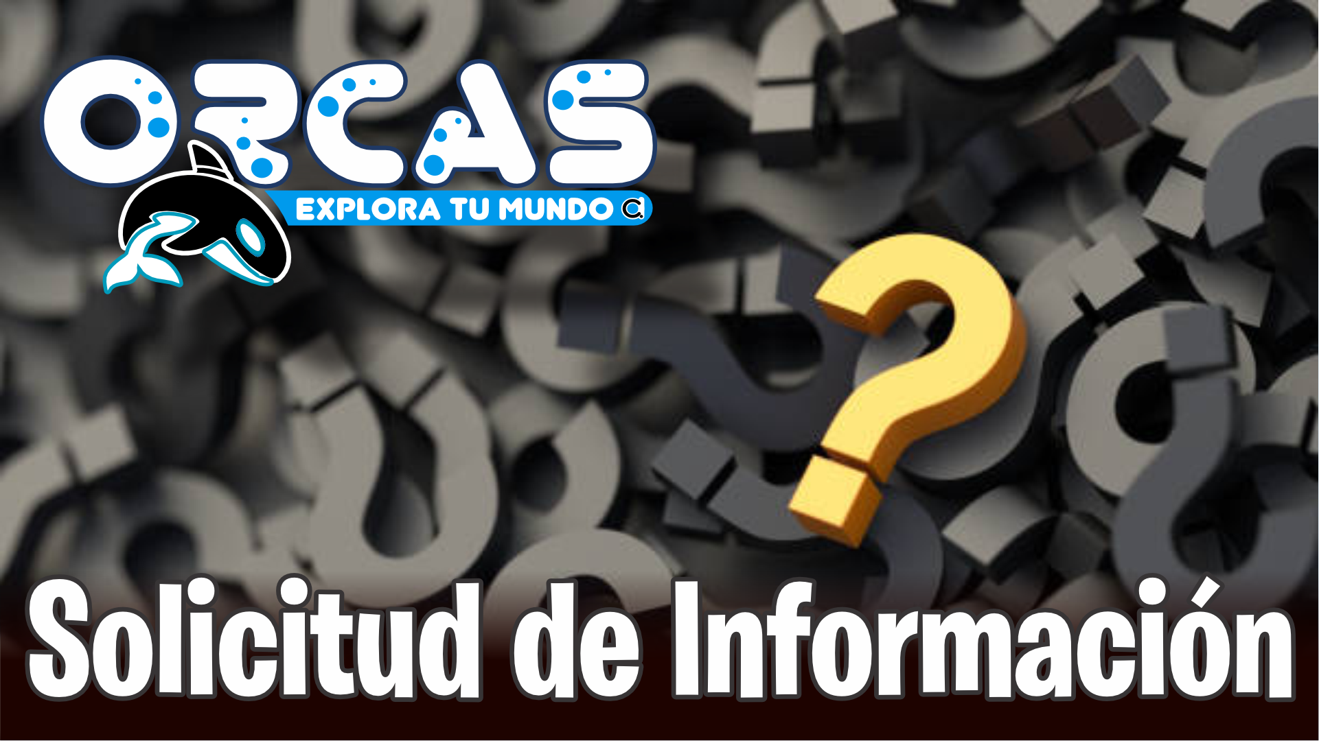 orcas_transparencia_solicitud